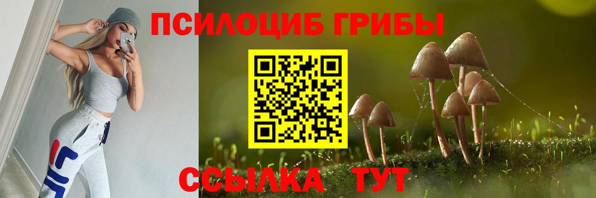 Чайковский  Псилоцибиновые грибы Psilocybine cubensis  Вход с VPN 