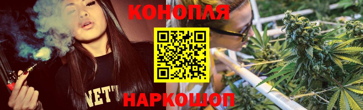 Канабис гибрид Чайковский